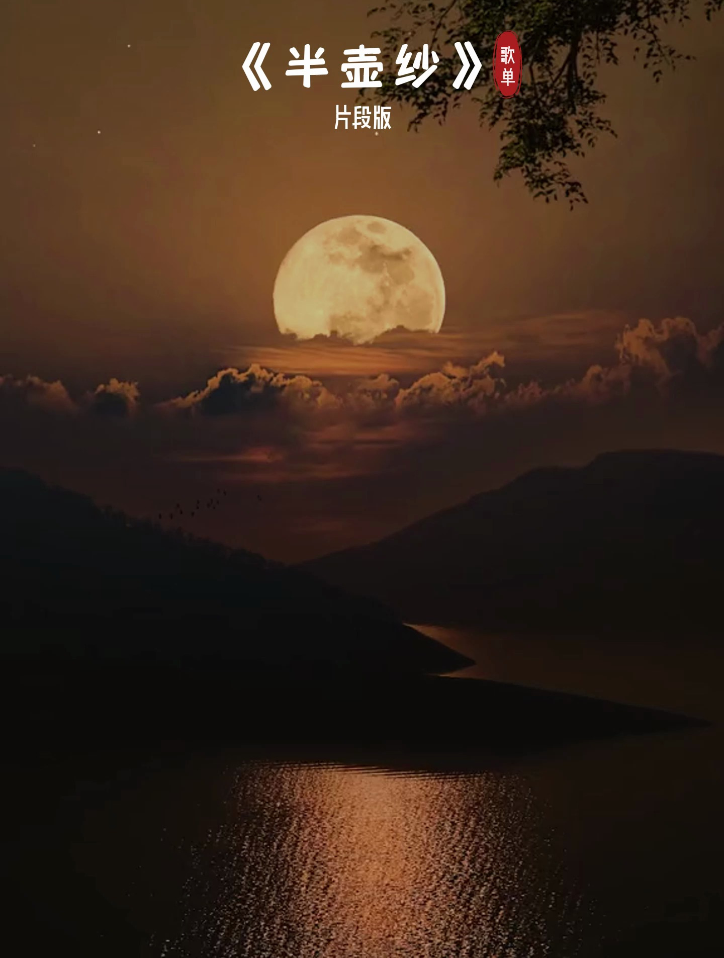 《半壶纱》唯美禅意,歌词有意境,听得人如痴如醉