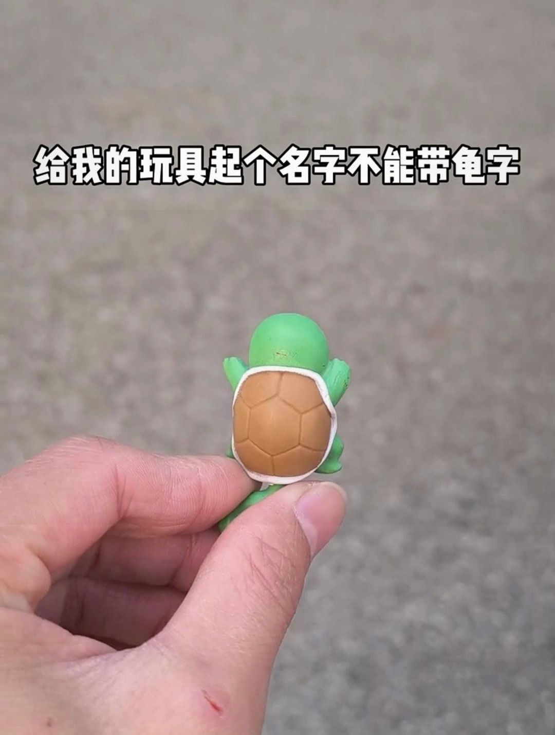 给我的玩具起个名字,不能带龟字