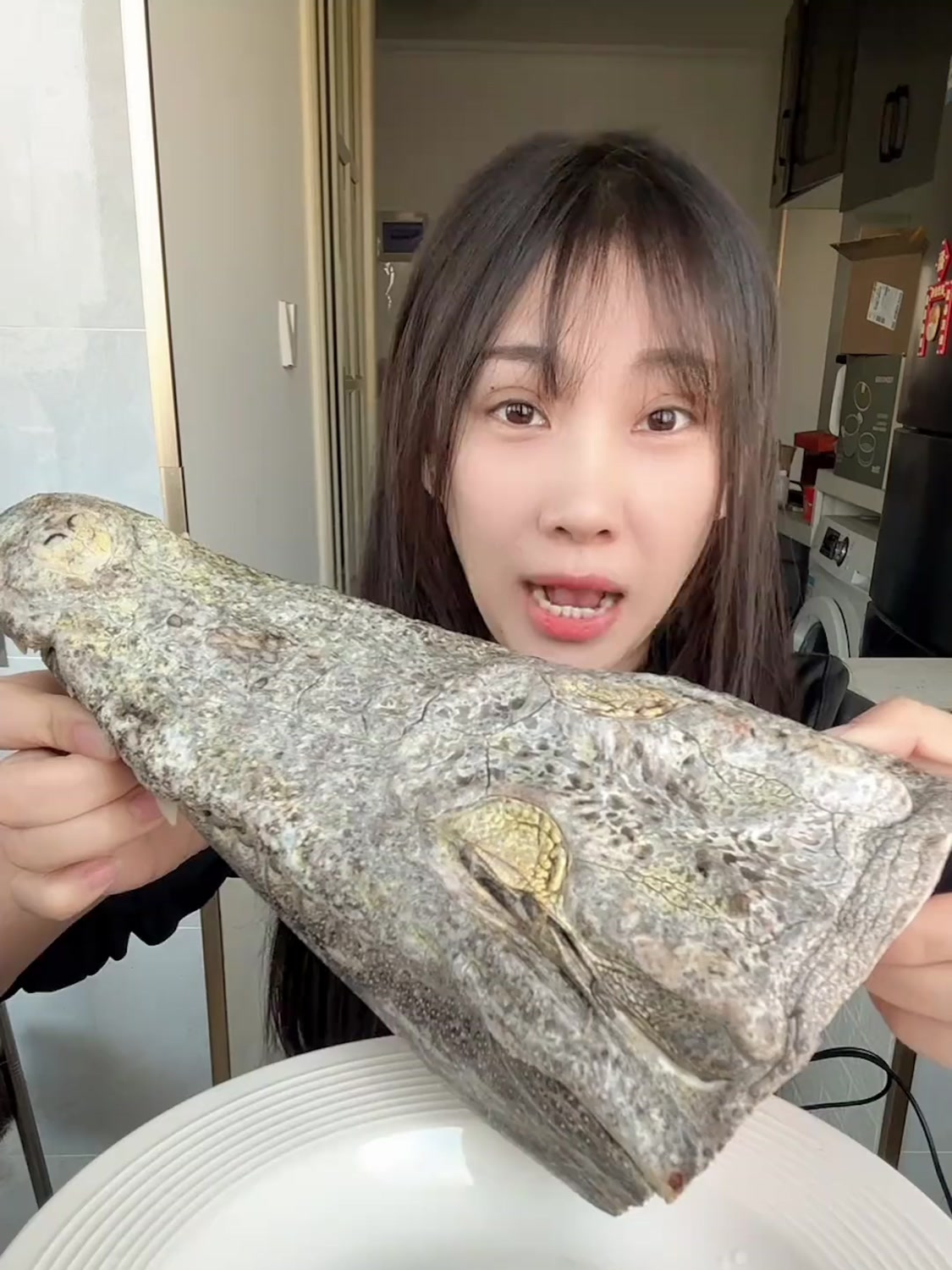 吃播日常鳄鱼头真的不要太香了