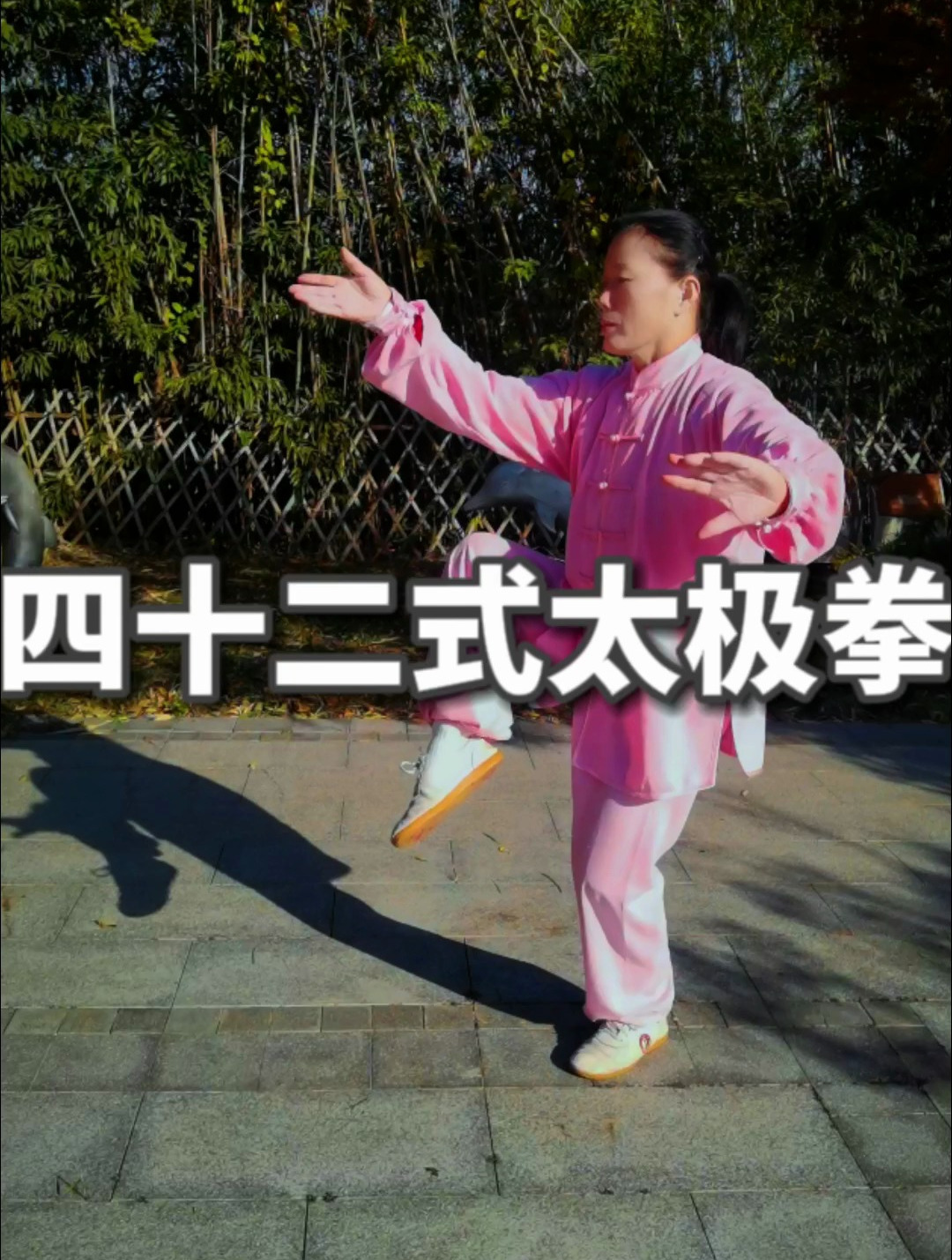 「经典太极天天练」四十二式太极拳竞赛套路完整演练