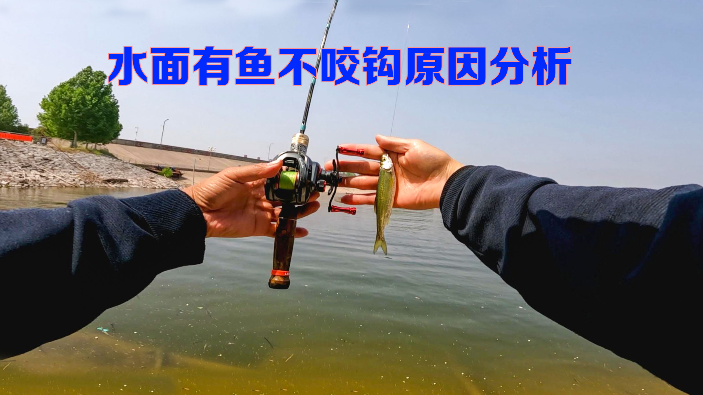 水面一层鱼死活不吃钩，肯定触犯了几个错误，看完你就会茅塞顿开