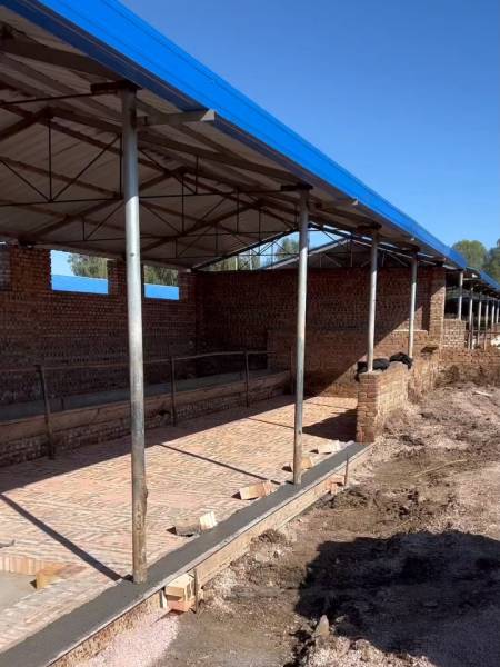 牛棚地面怎么铺母牛圈可以铺一半立砖一半土好清理不伤牛蹄