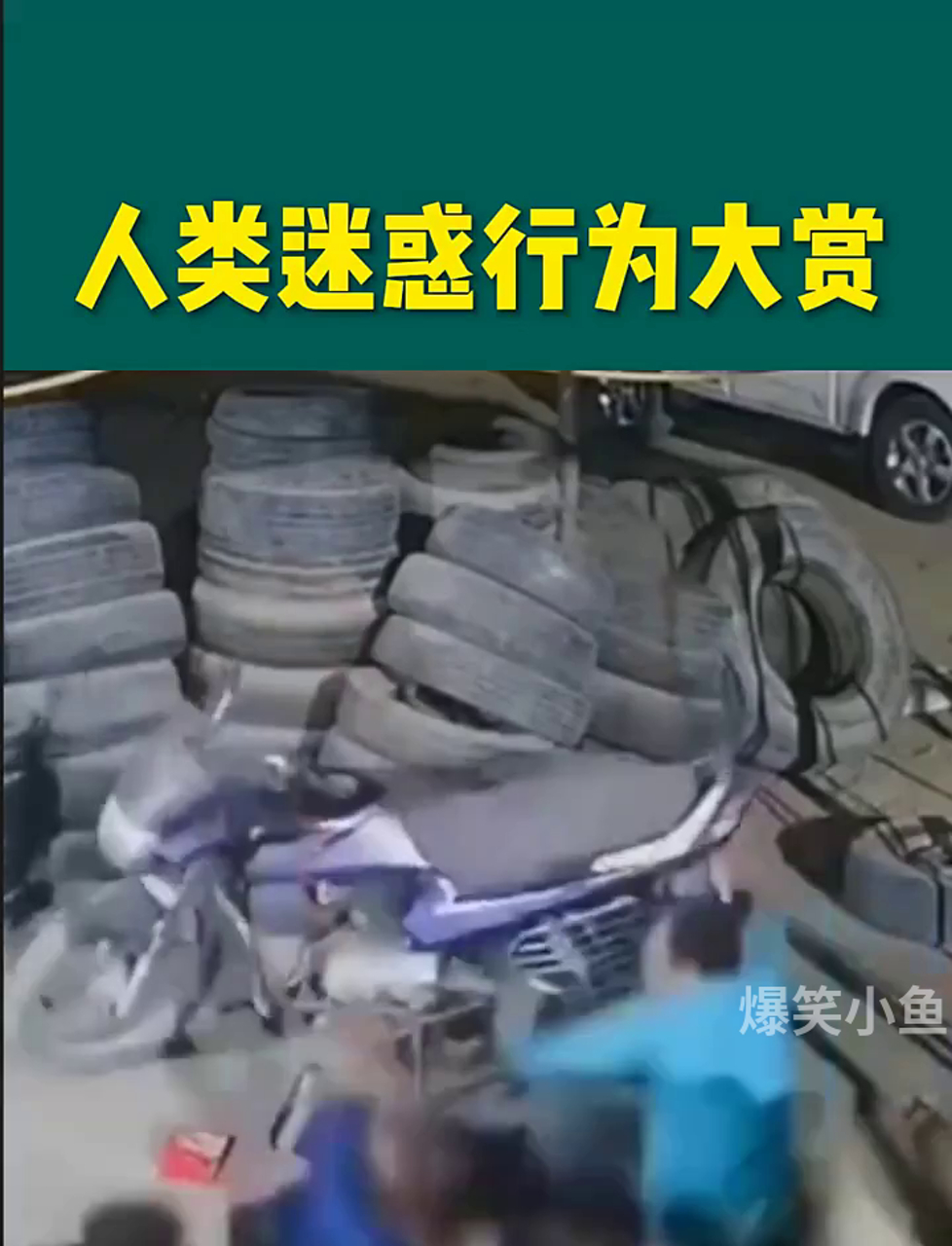 人类迷惑行为大赏
