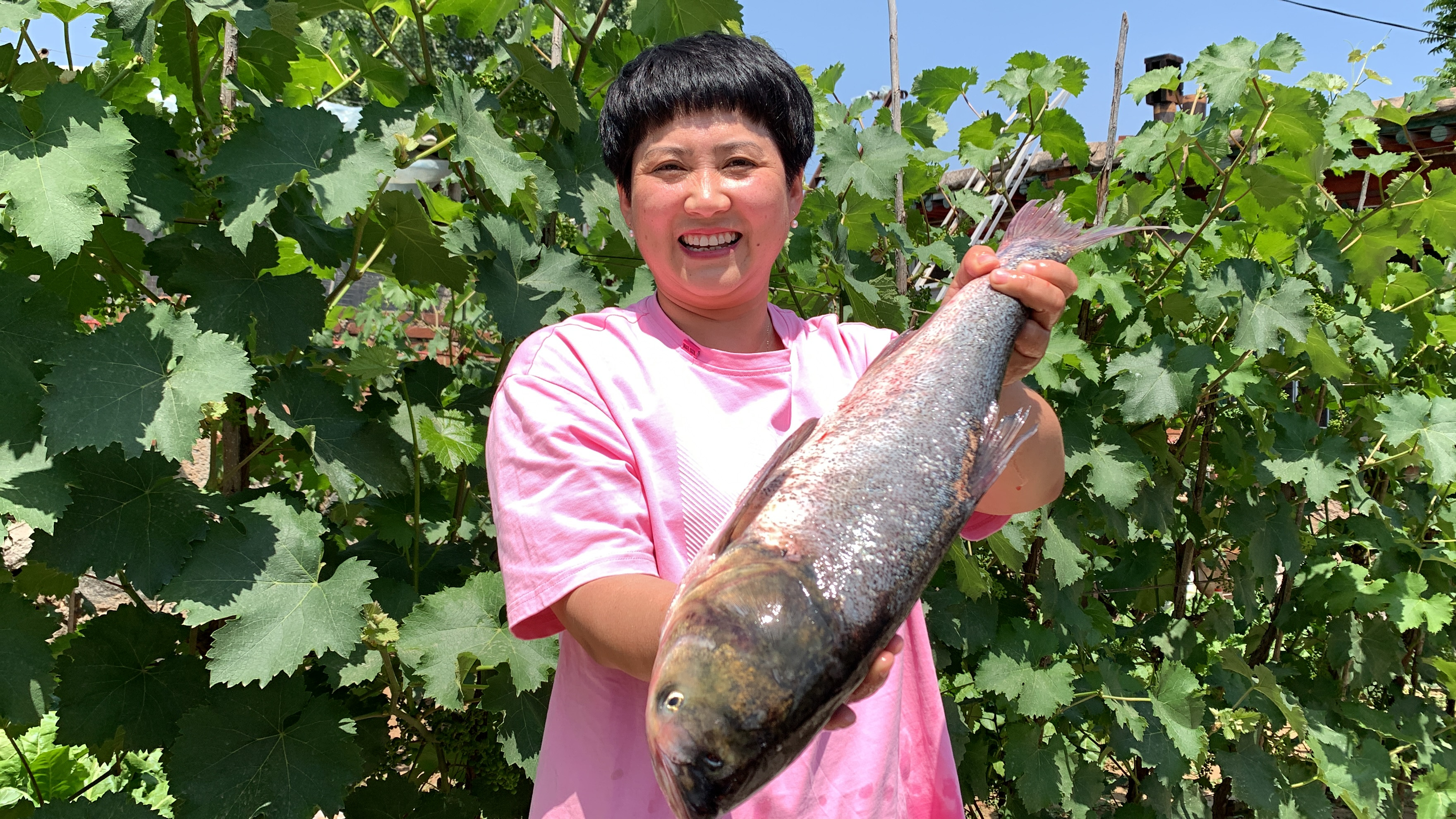 赶集花55元买条胖头鱼，柴火大锅一炖，入汁入味，好吃过瘾