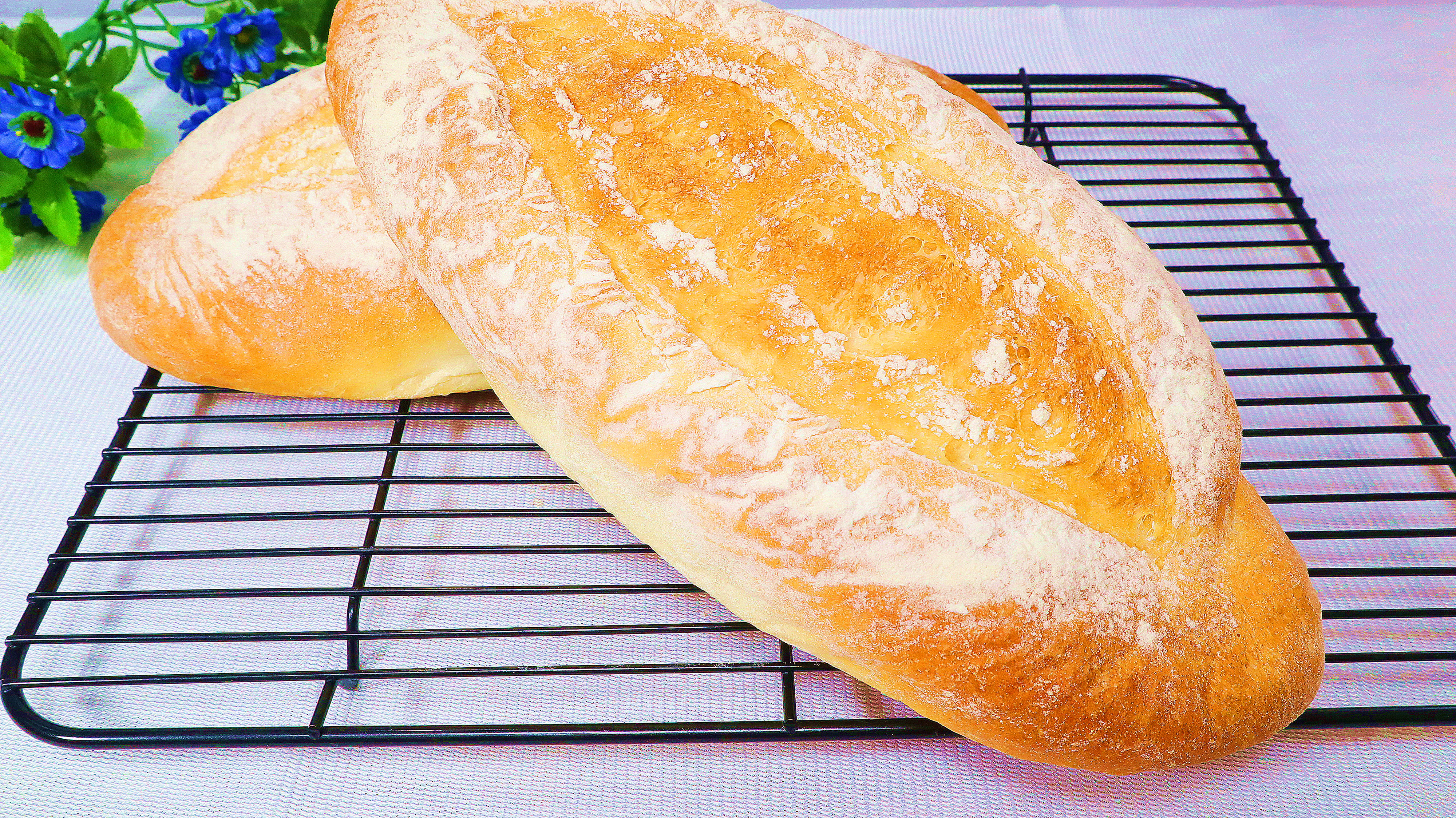 简单快速面包做法,老面包好配方,无油无糖无鸡蛋,家人都爱吃