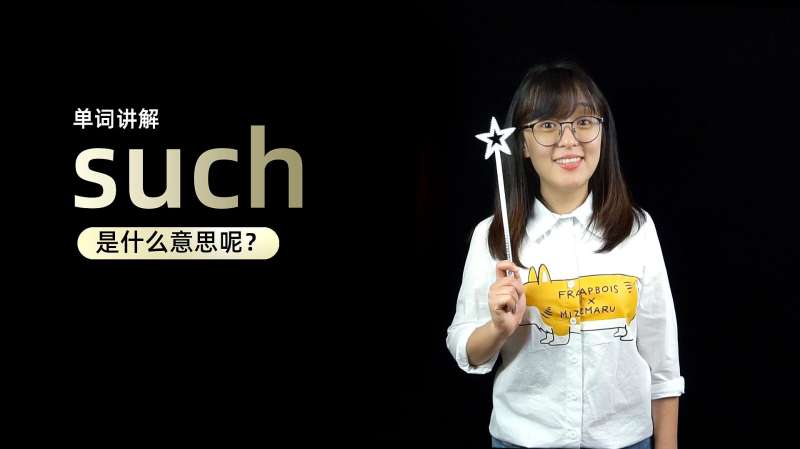 Suchih 单词讲解:such是什么意思?,教育,在线教育,好看视频