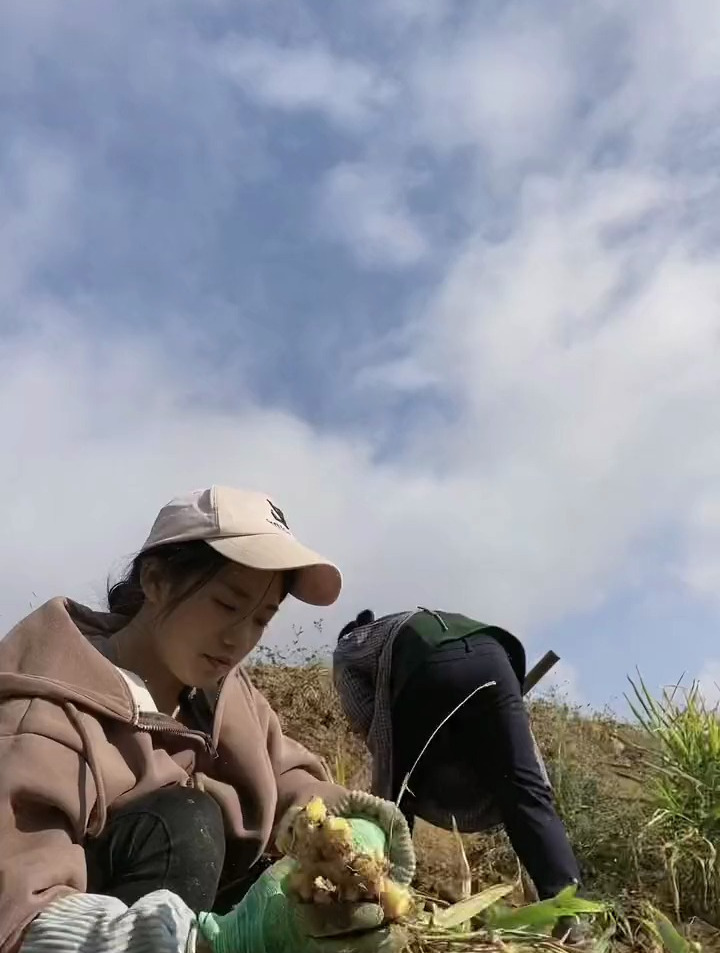 農村沒有詩和遠方,只有幹不完的農活,但這就是最淳樸生活的樣子-度小