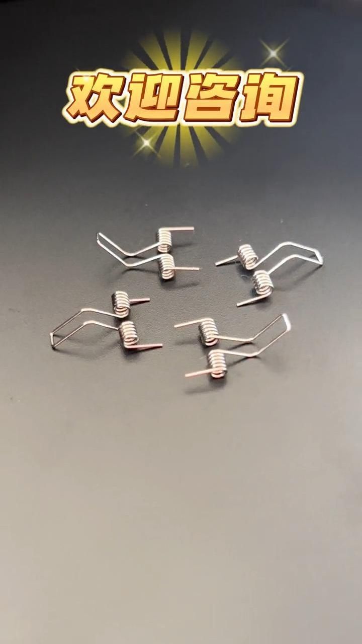 双扭力弹簧,支持定做