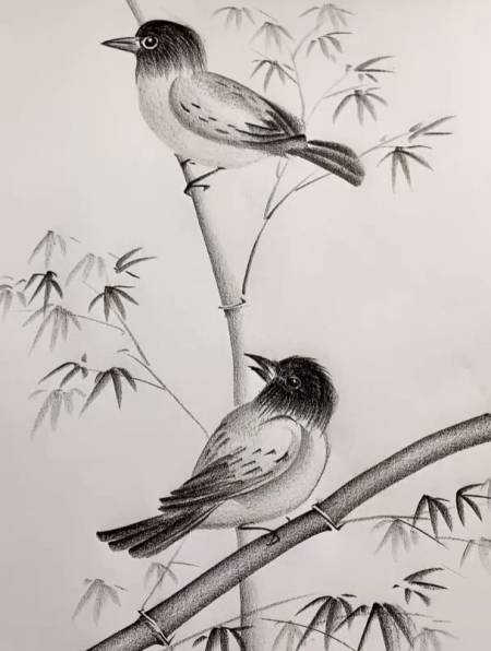 简单画小鸟 零基础学画画 一学就会系列 炭笔画 简单易学-度小视