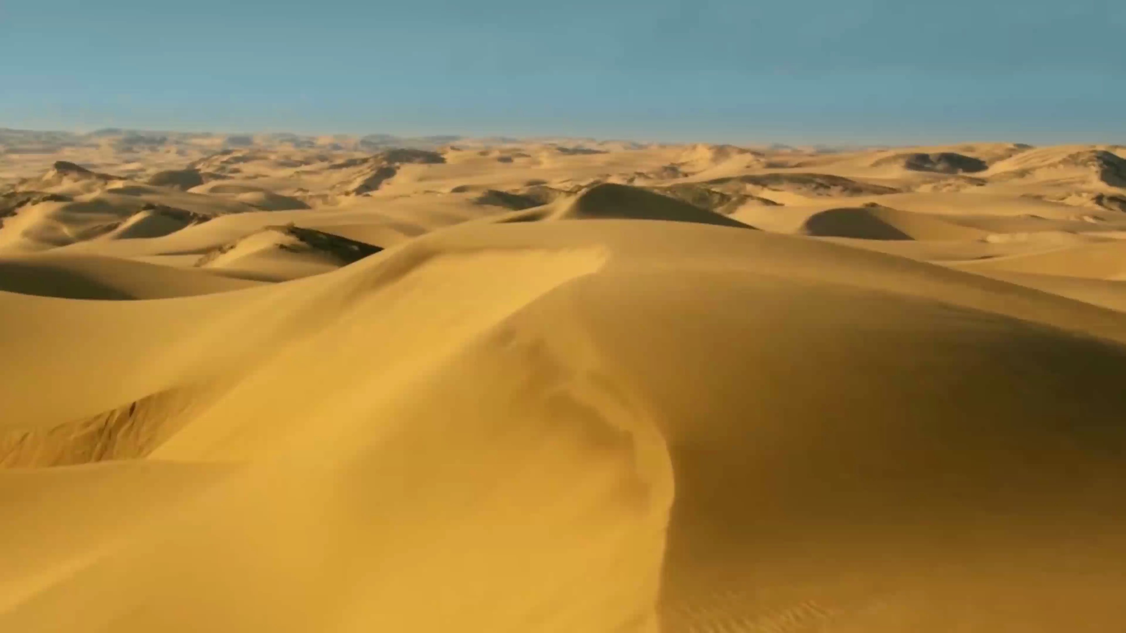 「逛陇原·看甘肃」河西走廊—你身边的博物馆