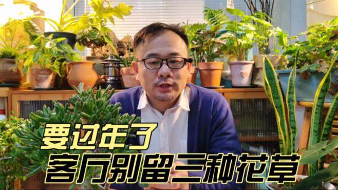 [图]马上过年了，客厅别留这3种花，不是迷信，而是经验