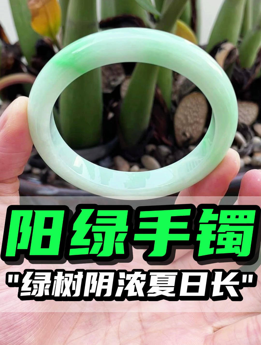 原来是另有所图温婉雅致的阳绿手镯实在是太好看了