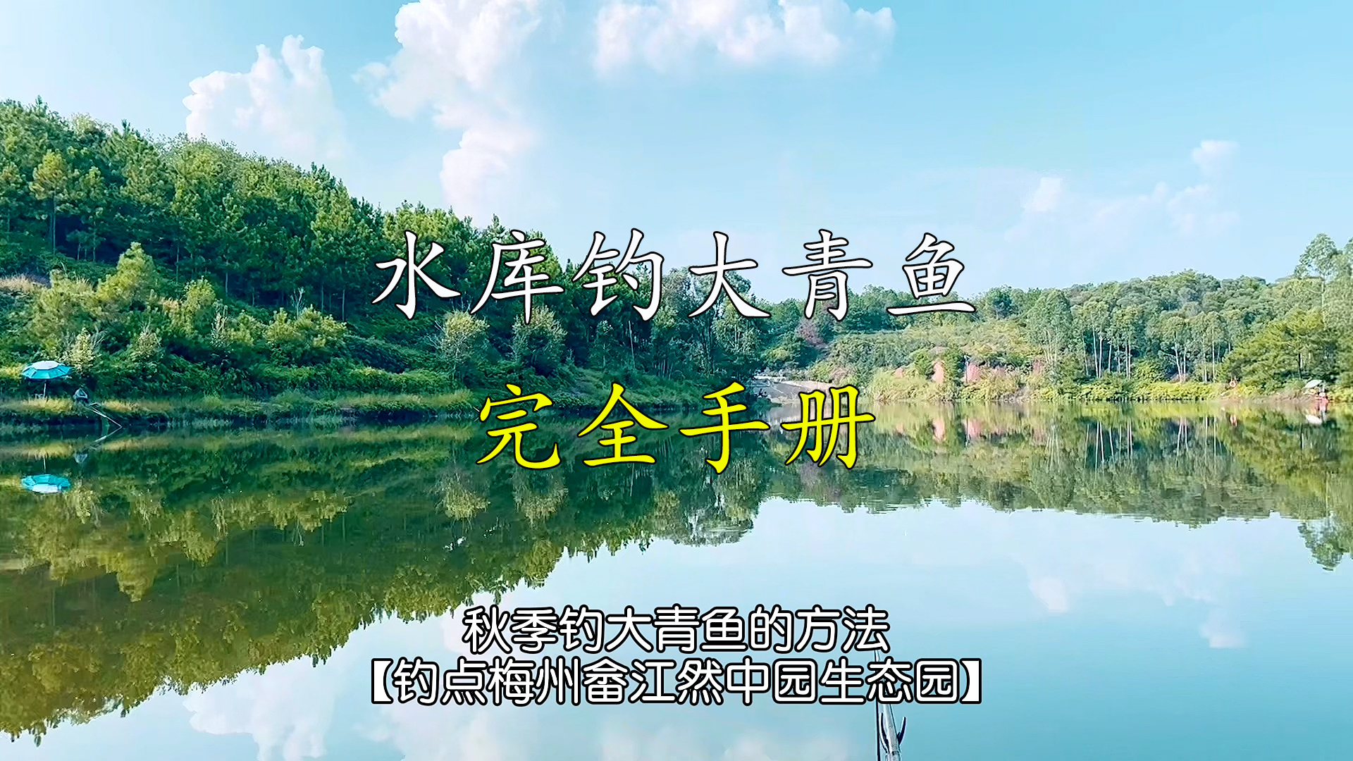 水库如何垂钓大青鱼?从选钓位钓具钓法,全方面告诉你!