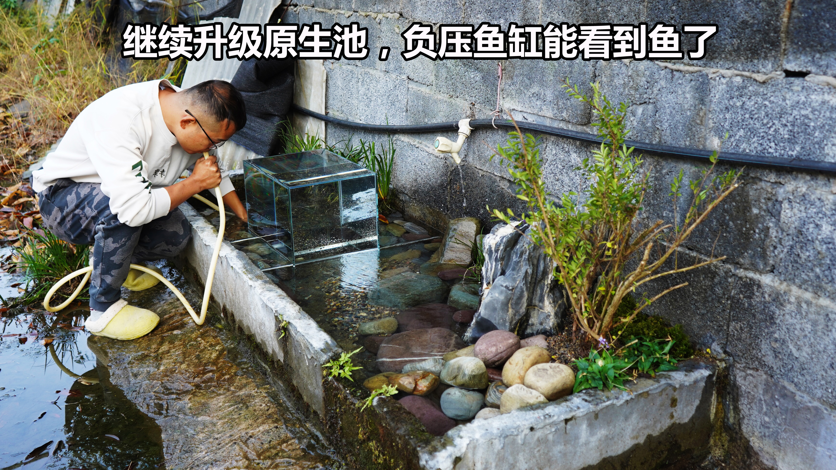 废水池改原生池,没想到这么多网友喜欢,今天野采原生鱼继续升级