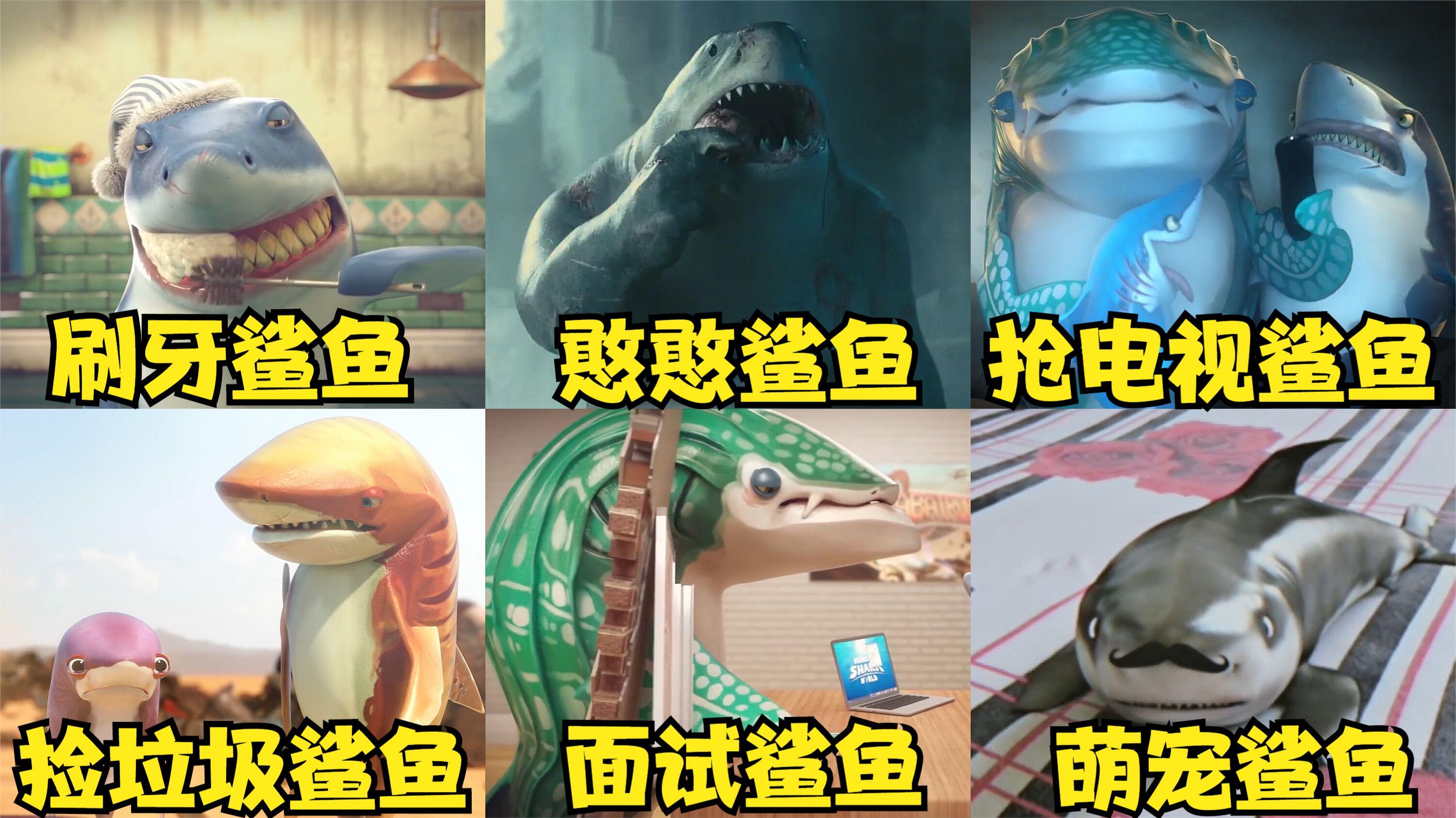 盘点这几条奇葩鲨鱼,你觉得哪个更沙雕?面试鲨鱼直接把门撞坏!