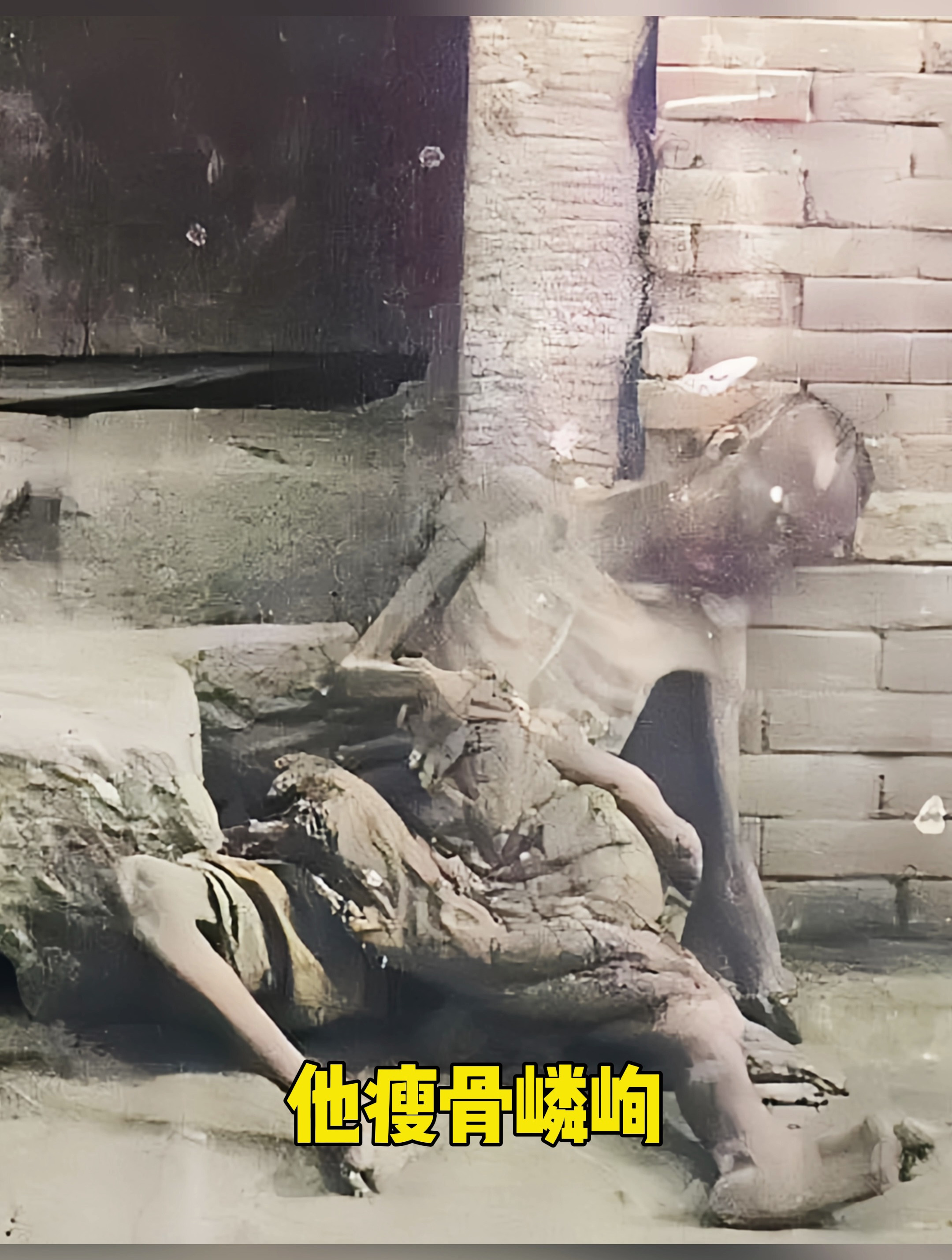 1929年,陕西临潼街头,一名饿到无力倒地的饥民