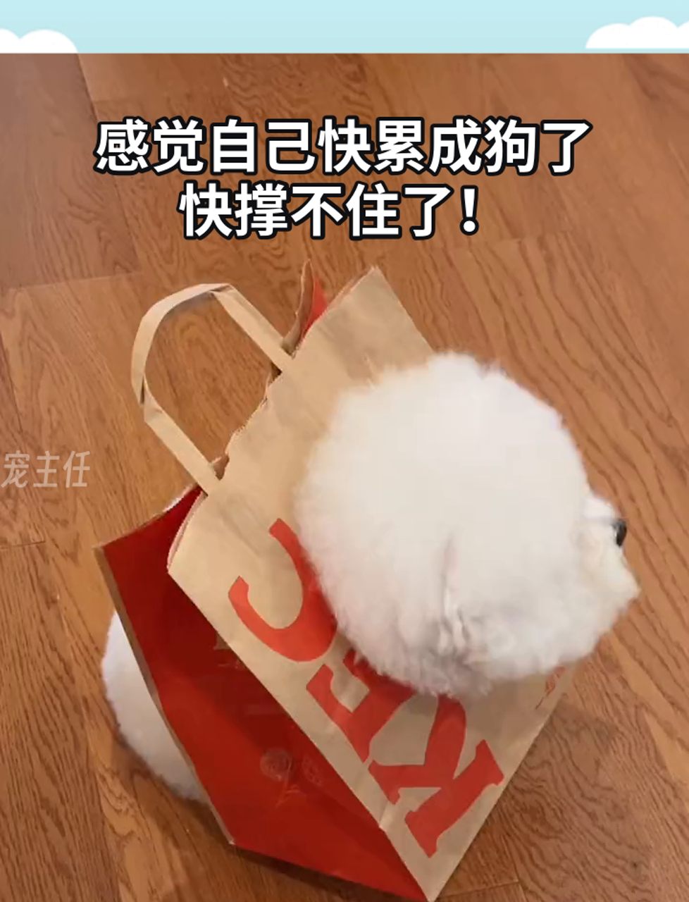 感觉自己快累成狗了,快撑不住了!