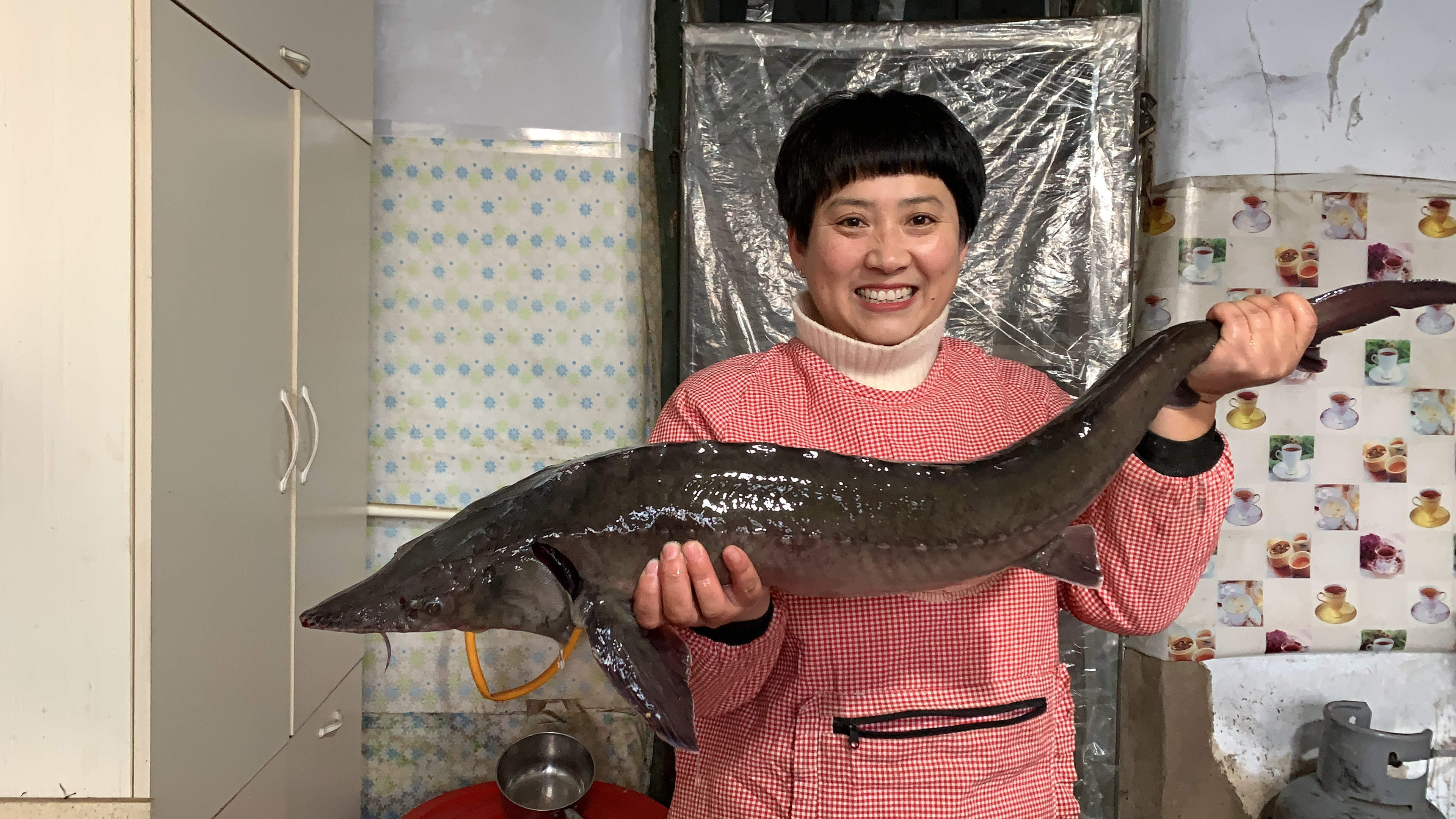 鲟鱼好吃的做法，鲜香滑嫩，入口Q弹，新的一年祝大家吉庆有余