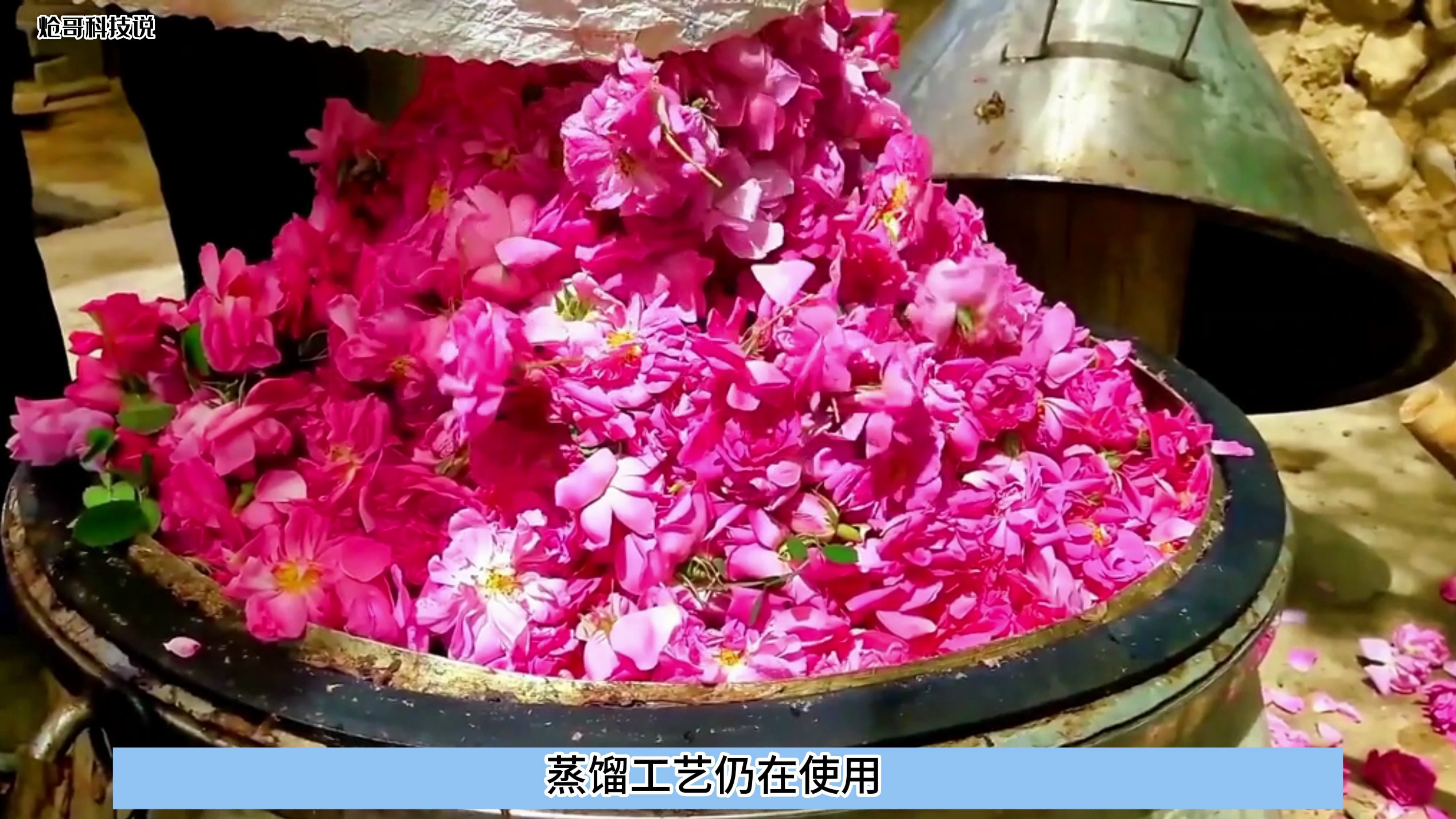 被伊朗人视为珍宝的玫瑰水是怎么做出来的?传承上千年的手工工艺