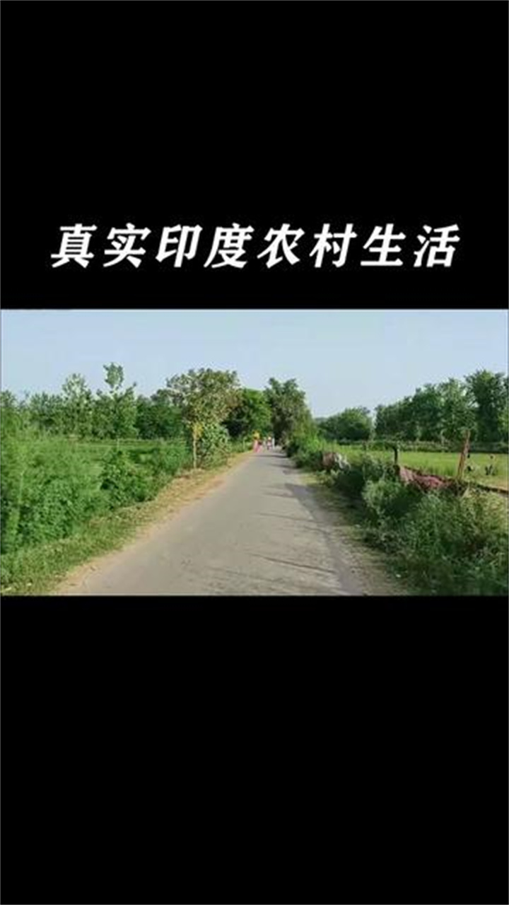 印度农村真实生活,两亩地一头牛,老婆孩子热炕头