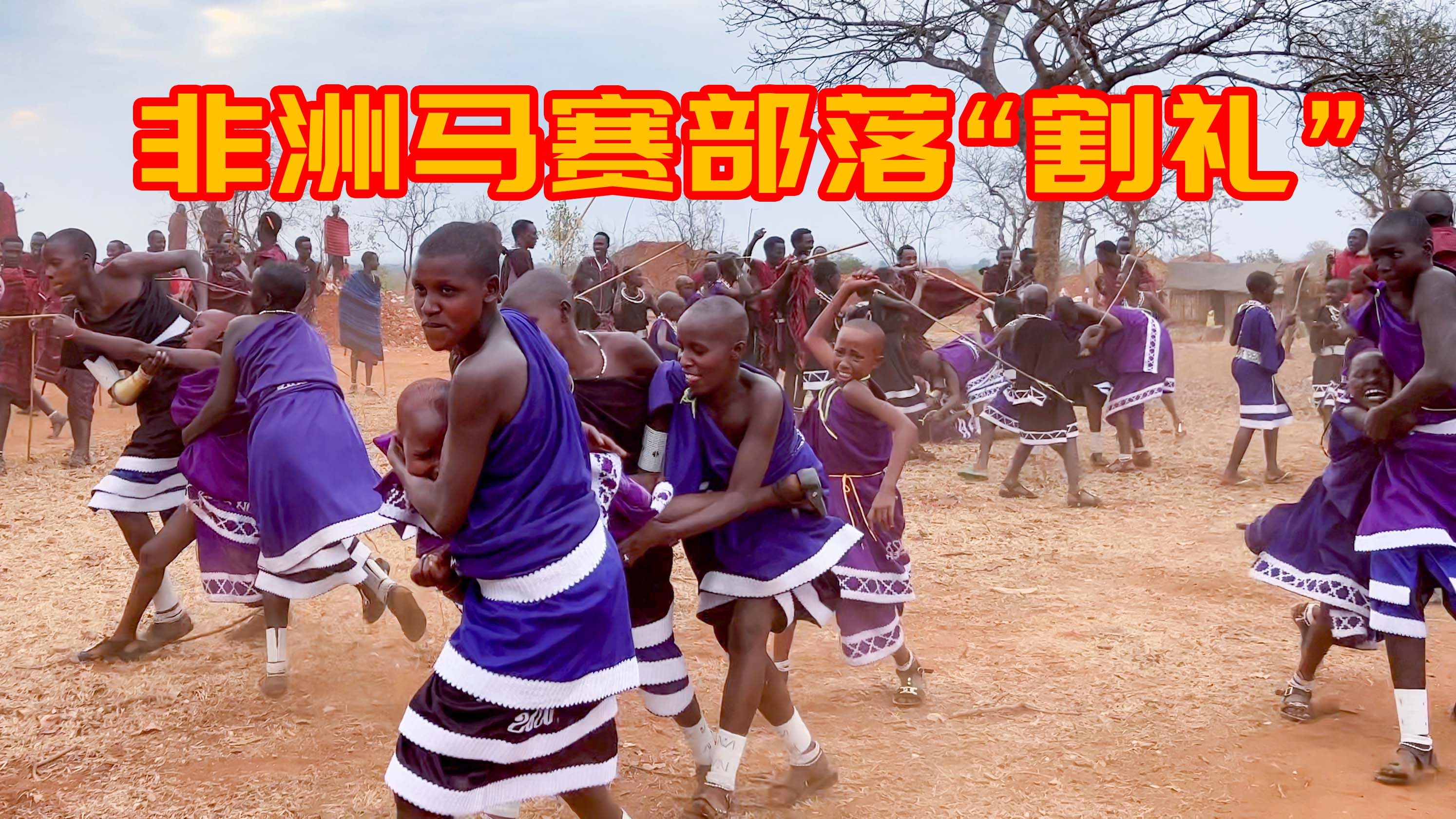 非洲马赛部落割礼现场第一天,杀牛杀羊,吃烤肉!