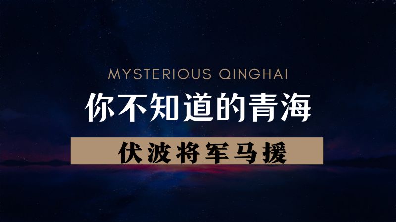 你知道对青海有巨大贡献的伏波将军马援吗,历史,历史综合,好看视频
