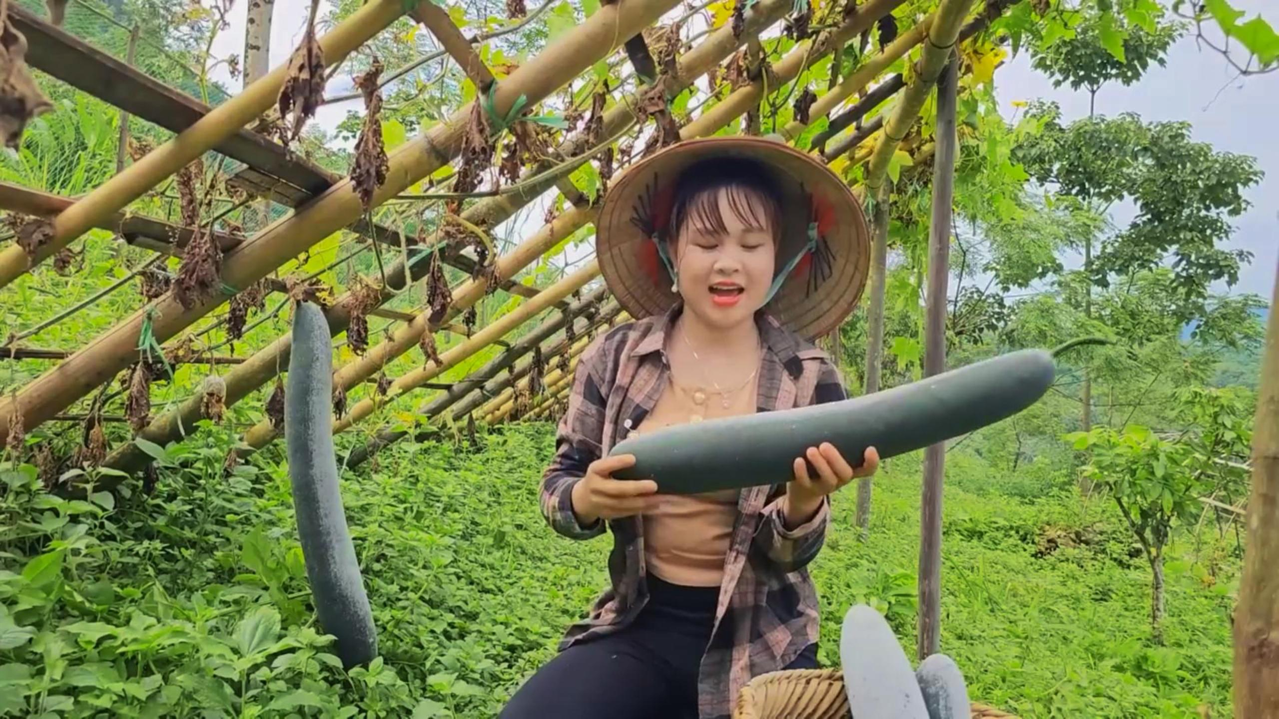终于迎来了瓜果飘香,这样的场景,是田园生活的最大满足吧!