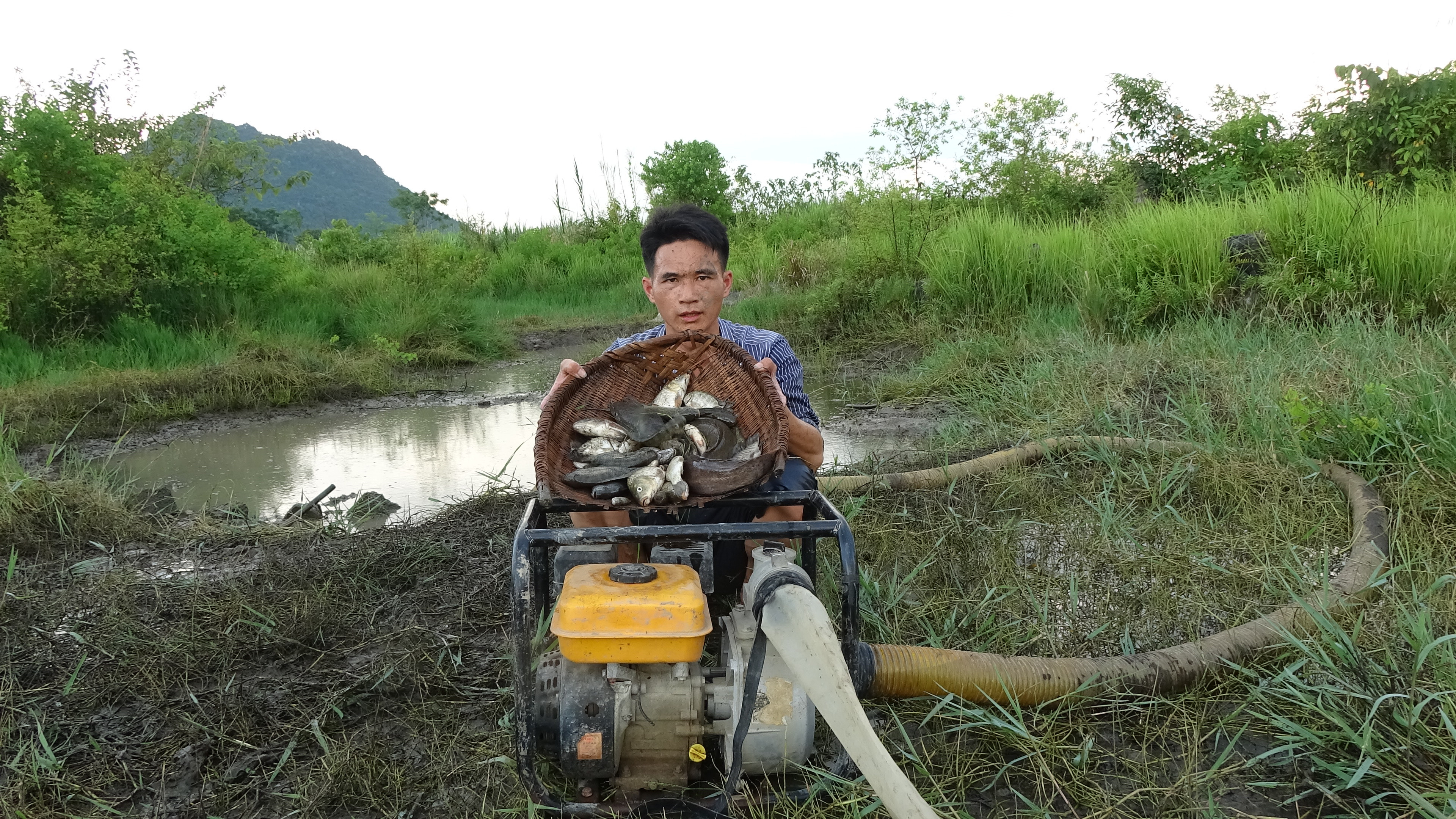 水坑鱼群聚集,小莫抬抽水机抽干水后抓鱼,捉了一竹筐鱼