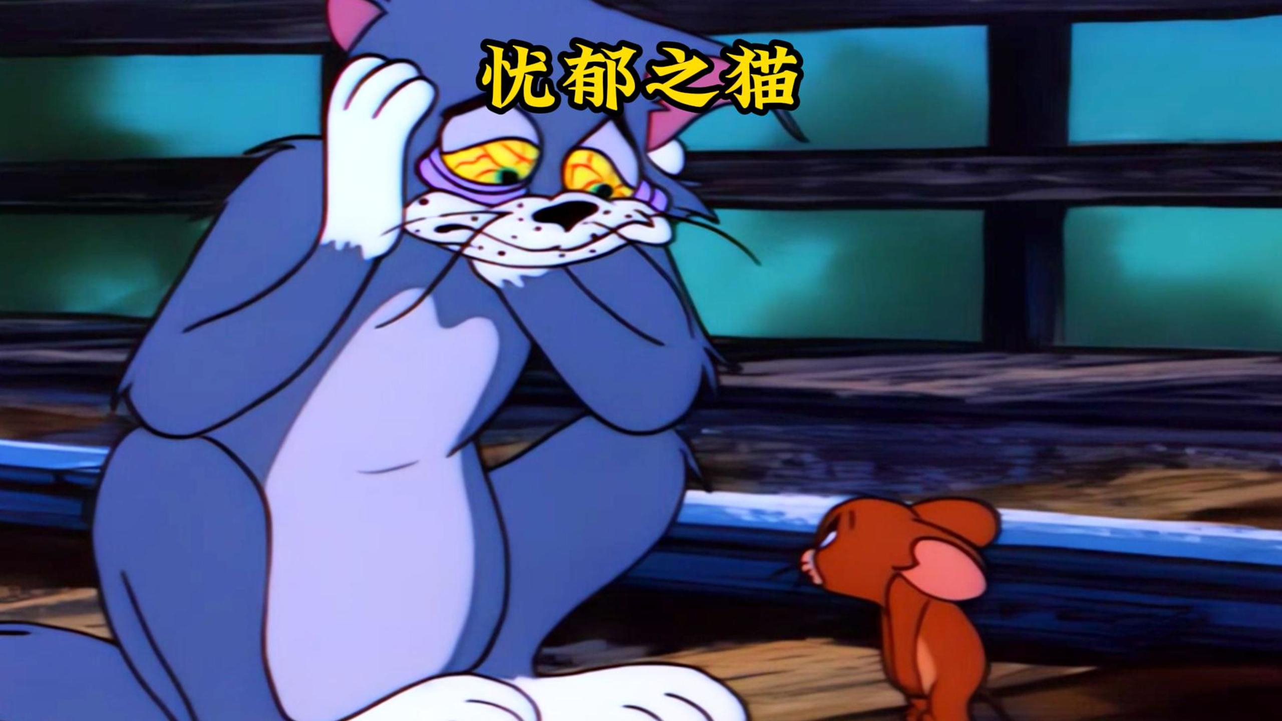 汤姆猫为了追求女神付出了一切,却不敌布奇的金钱魅力