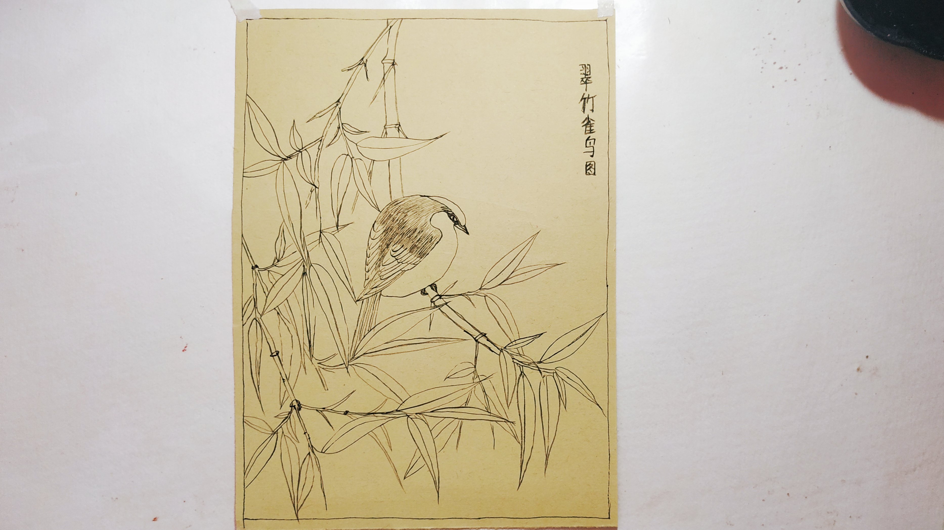 工笔花鸟白描勾线,翠竹雀鸟图