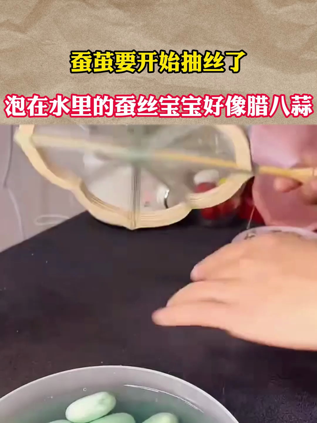 蚕茧要开始抽丝了,没想到抽丝手艺留存至今!