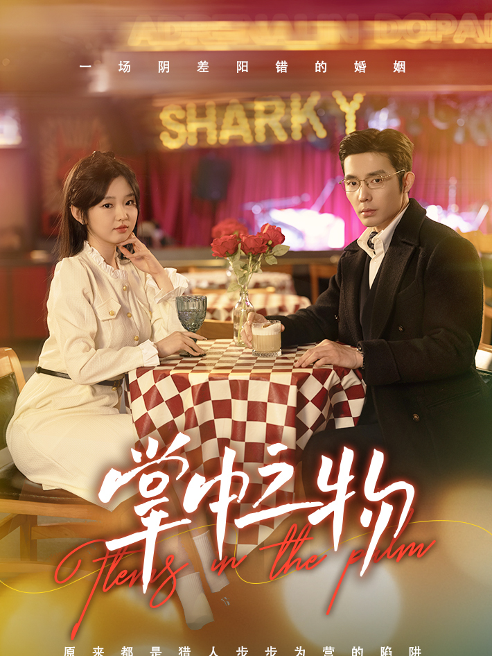 掌中之物第十八集