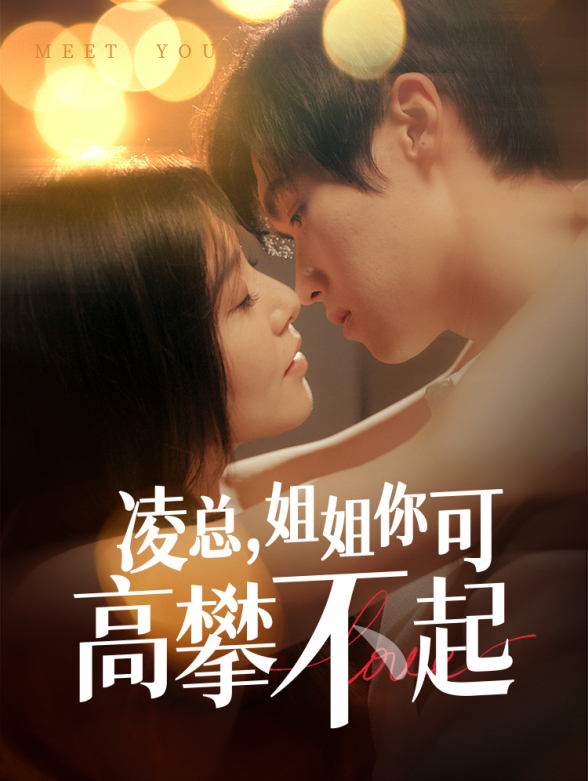 凌总姐姐你可高攀不起