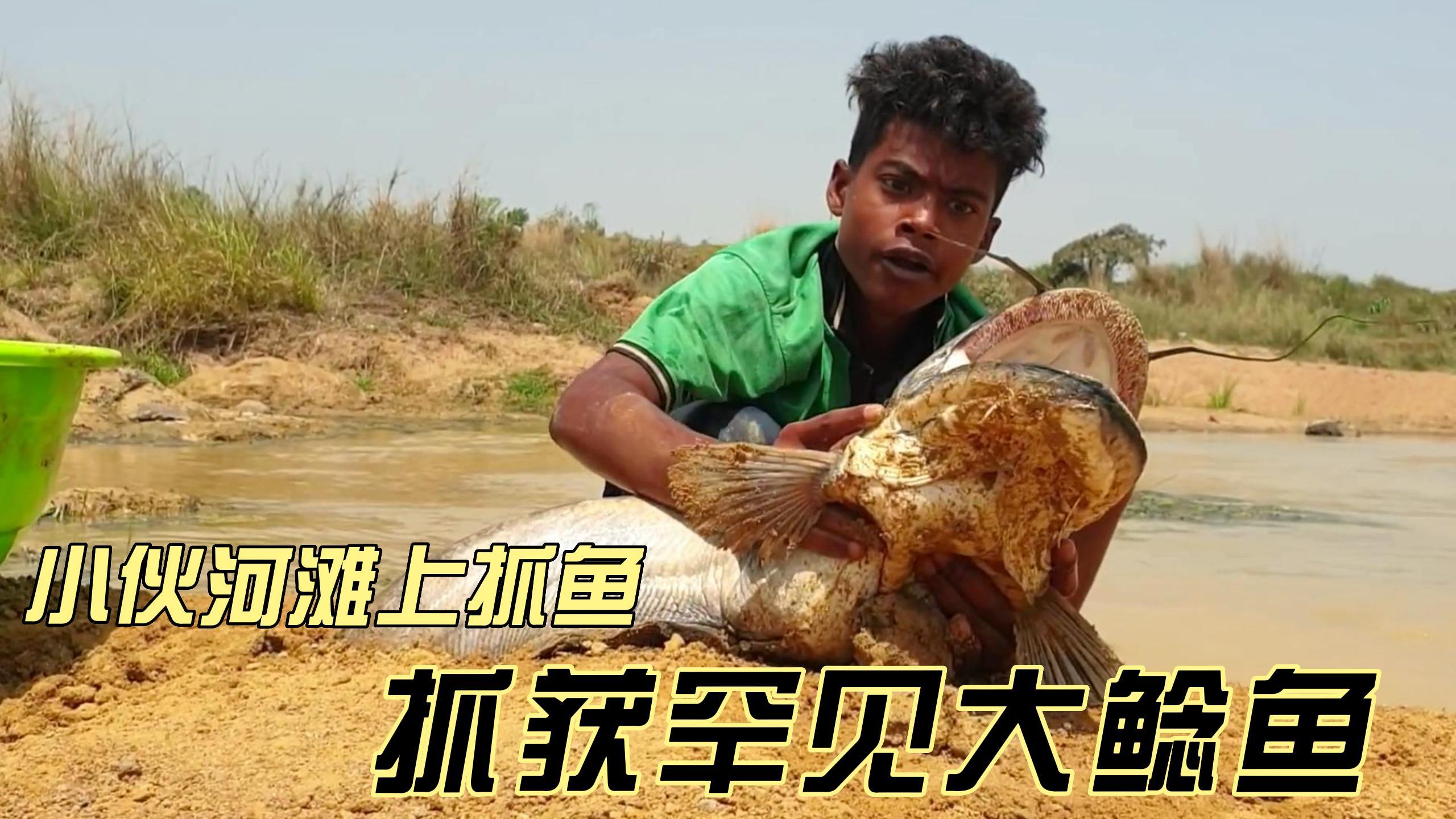 小伙河滩上抓鱼,意外抓获罕见大鲶鱼