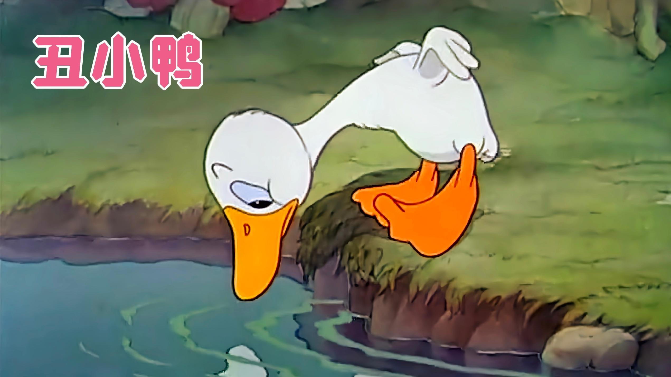 一只没人要的小白鸭,竟然是白天鹅的孩子