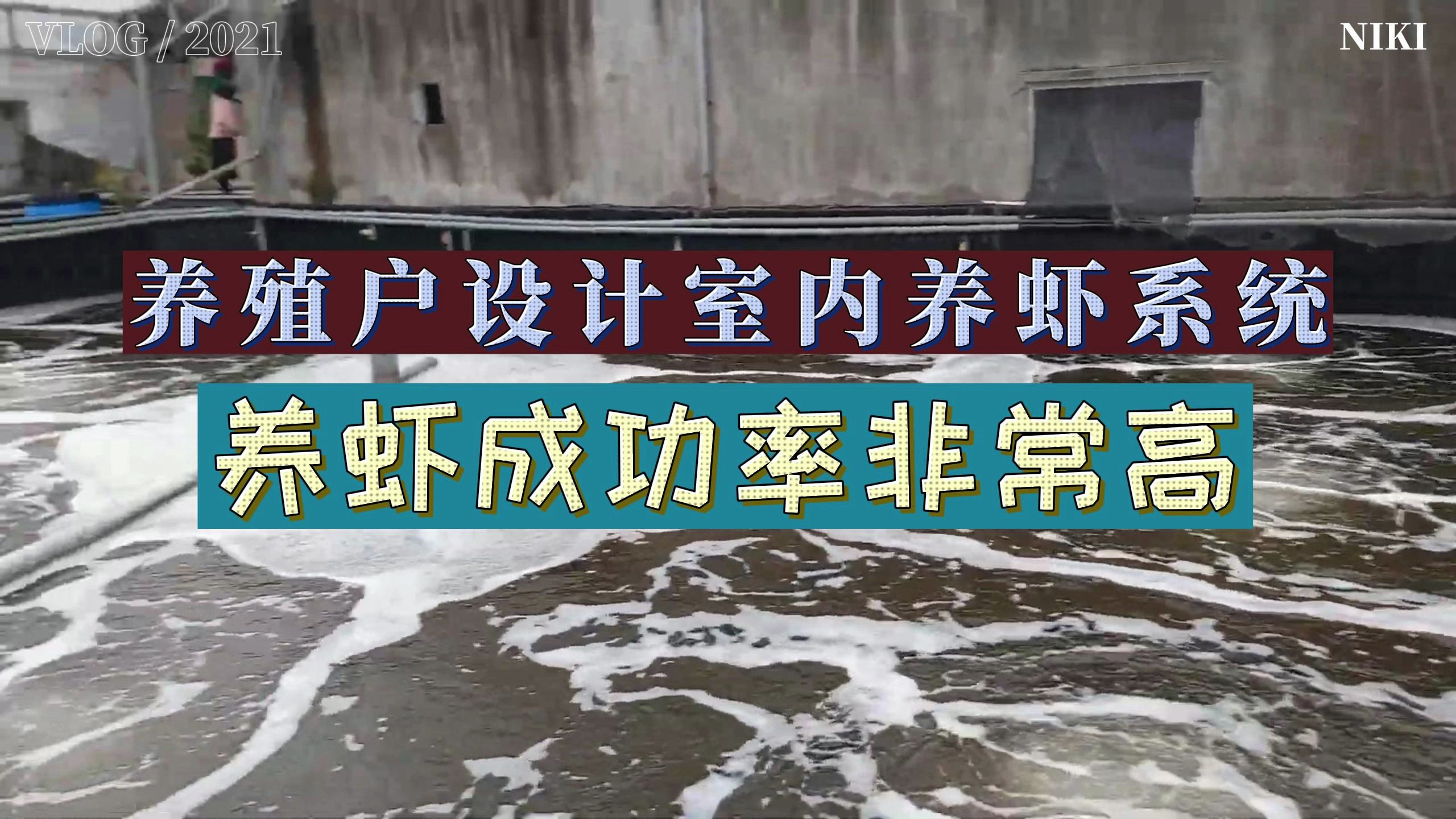 厉害了!一位养殖户,独自设计室内养虾系统,成功率非常高!