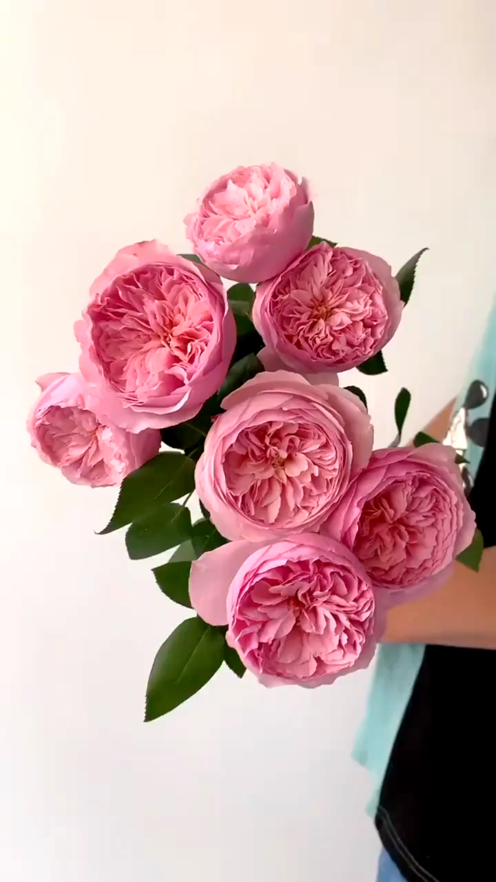 凯丽玫瑰,新娘手捧花定制