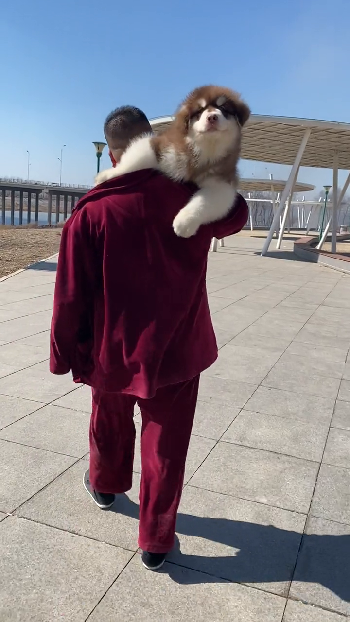 一步也不想走,就想让人扛!