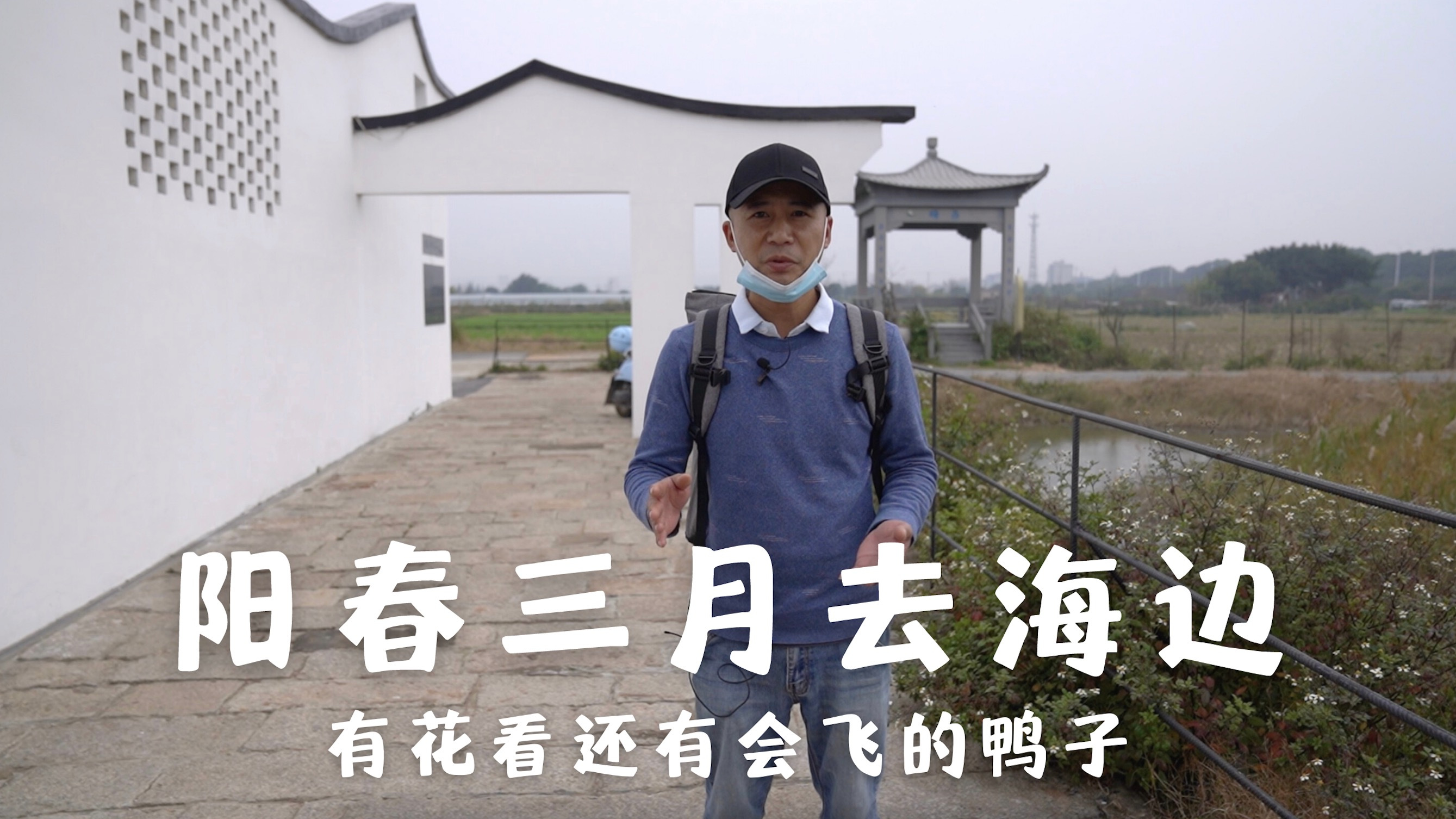 阳春三月去海边,有花看还有会飞的鸭子
