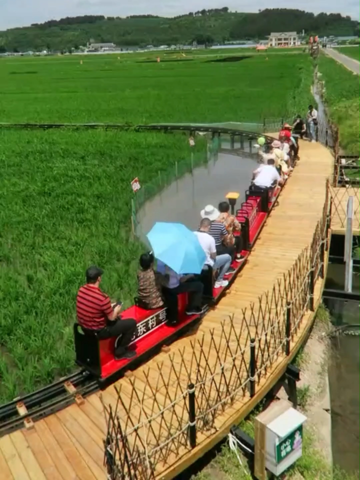 稻田观光火车网红轨道小火车景区旅游设备