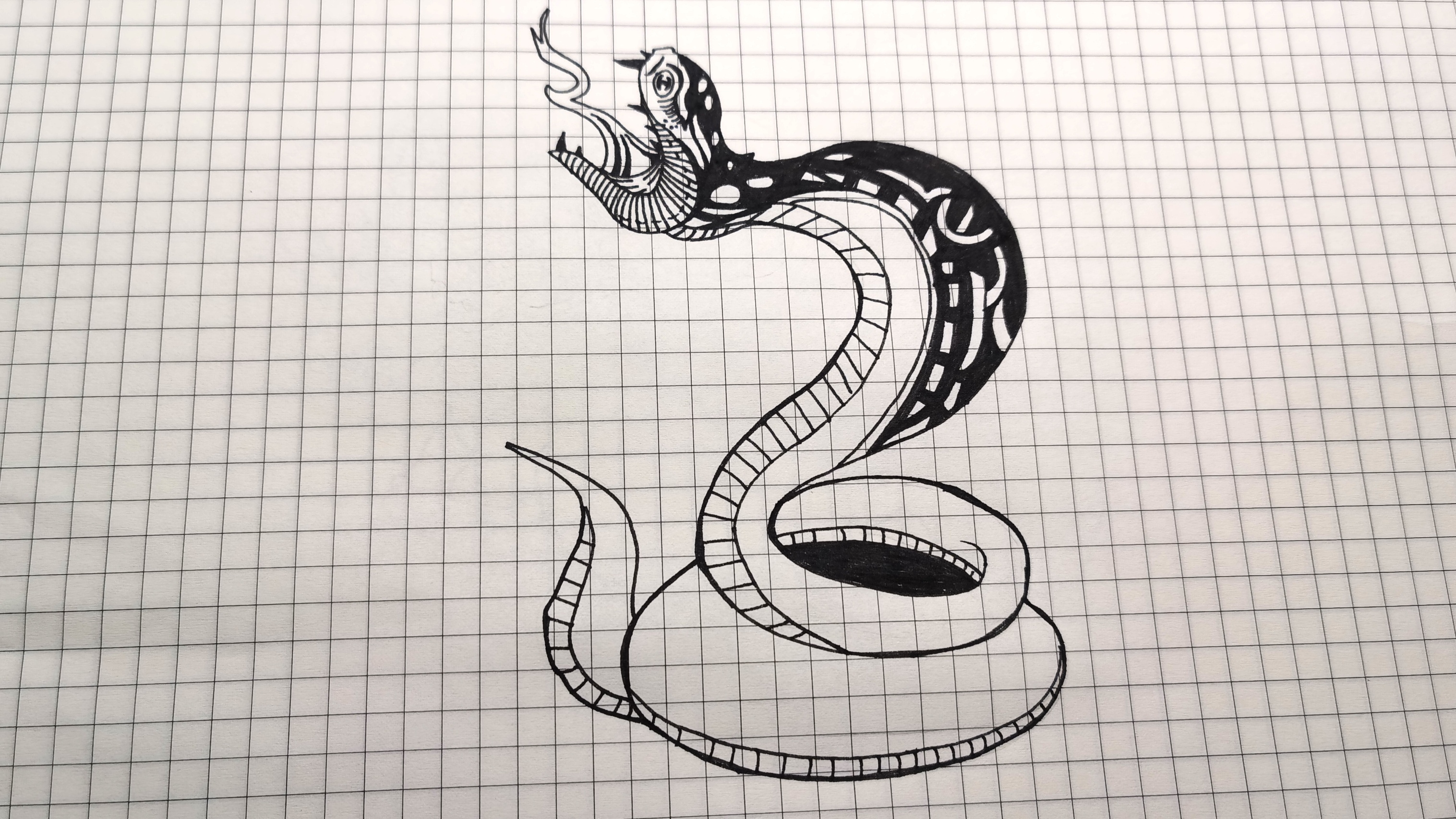 简笔画:马见蛇有四肢,蛇见马有翅膀,手绘12生肖蛇