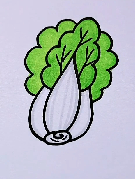 白菜简笔画教程