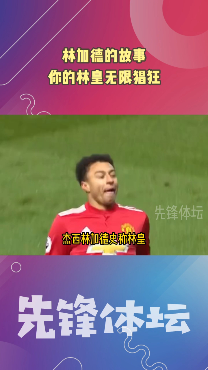 林加德的故事你的林皇无限猖狂