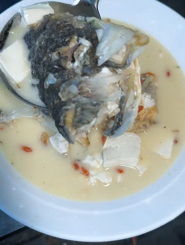鱼头豆腐汤豆腐汤太好喝了