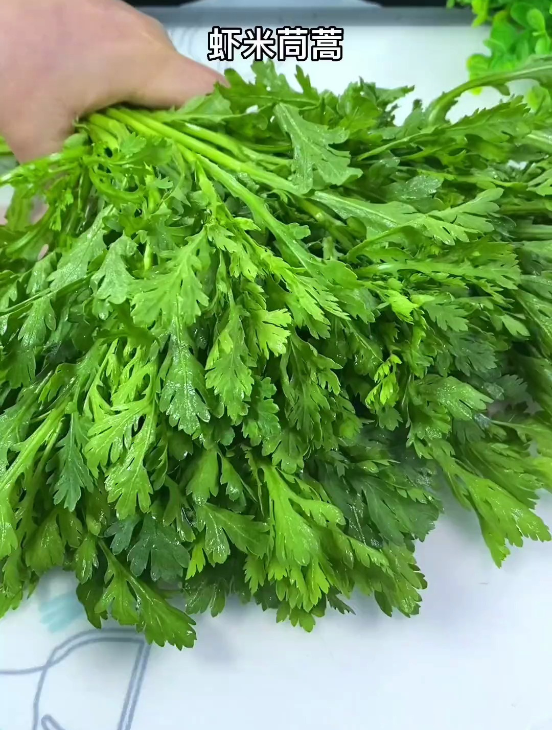 真没想到一把虾米能让茼蒿吃出海鲜的味道虾米茼蒿的正宗做法