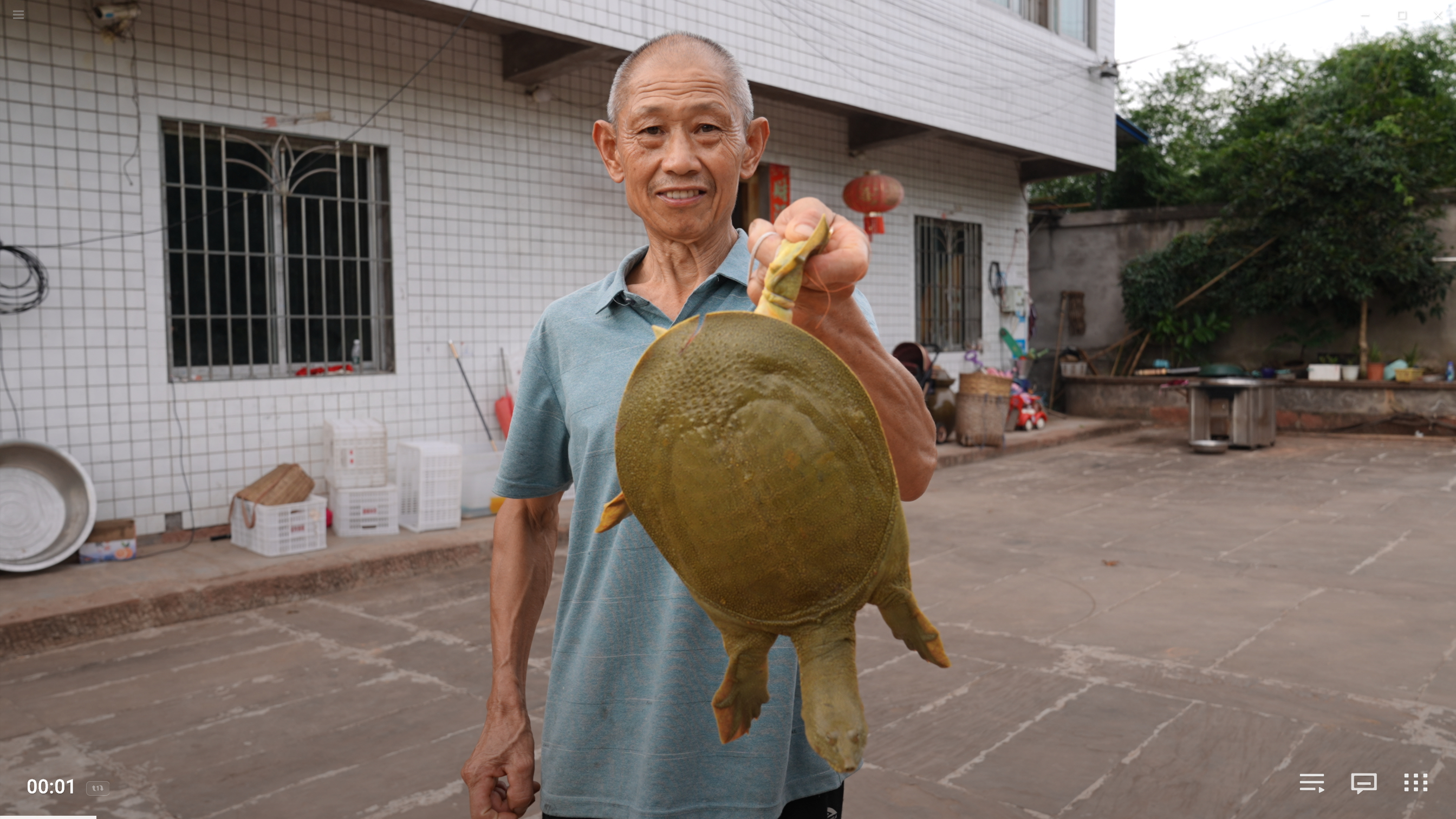 80买只大甲鱼，老爸下厨煨一锅汤，老妈最后说的话，真是让人感动
