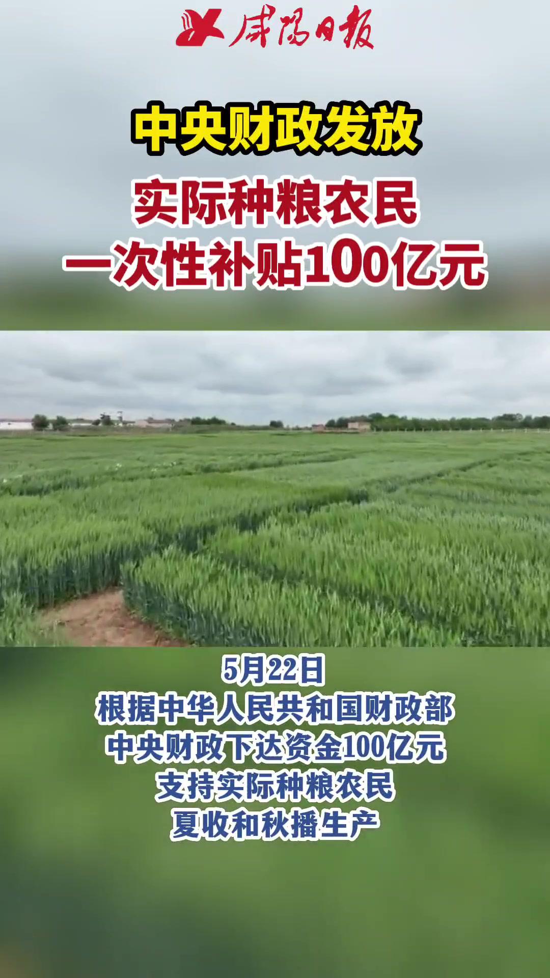 中央财政发放实际种粮农民一次性补贴100亿元粮食农民补贴
