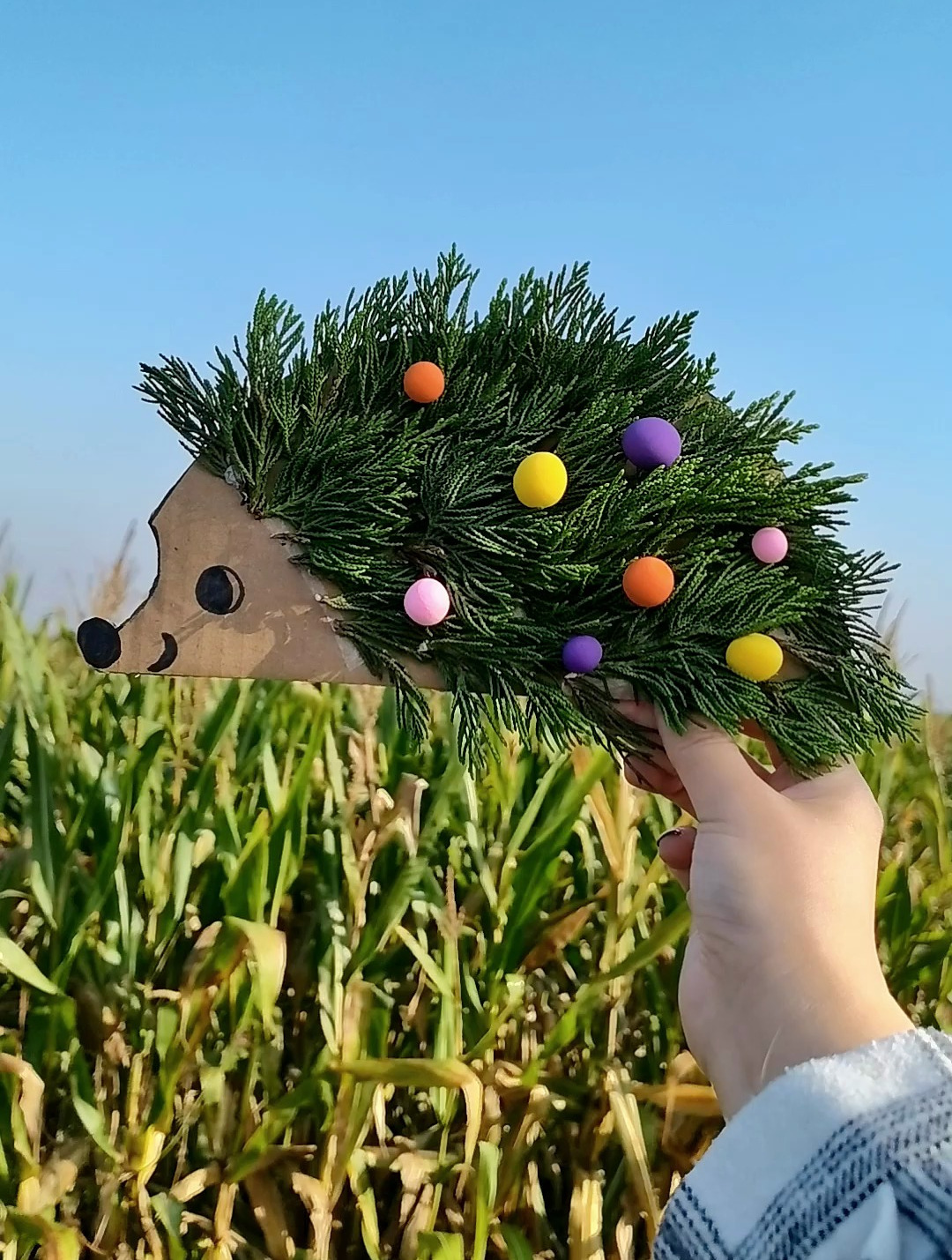 这只小刺猬好可爱,一起来做树叶贴画吧～-度小视