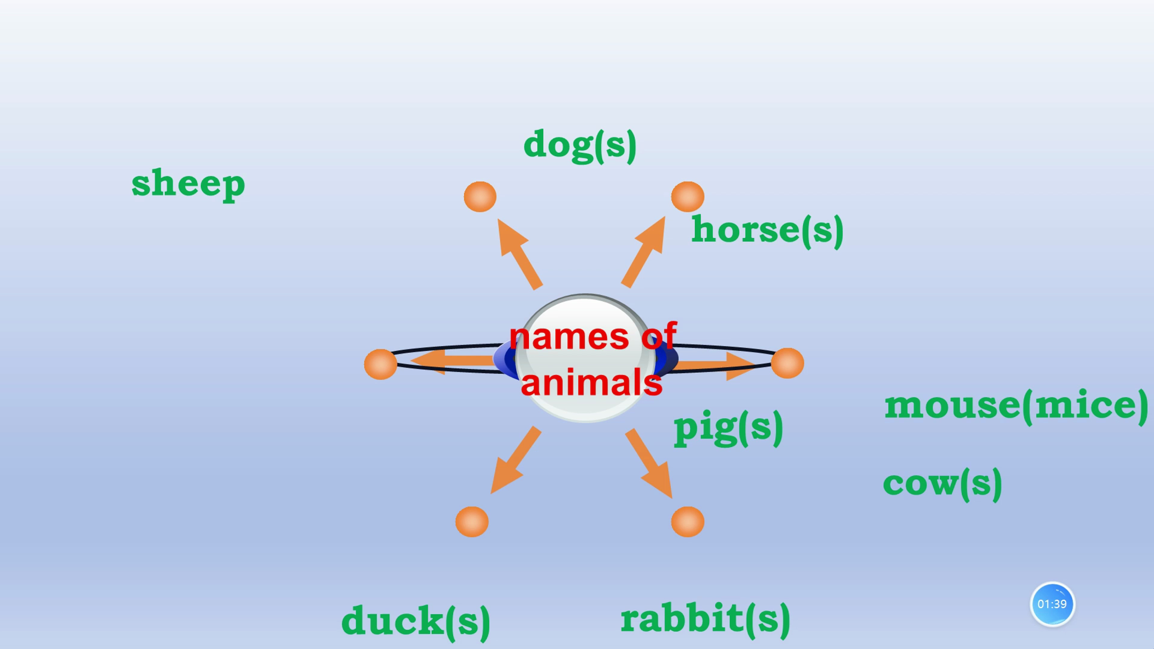 动物单词学习,适合小朋友,家长们没事也看看