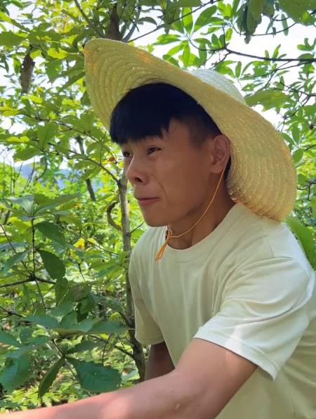 今天老天爷和我开玩笑,就连杨梅树也把我当"乞丐"-度小视